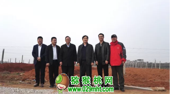 豪门国际官方网站图片