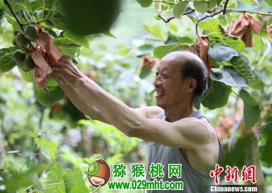 豪门国际官方网站图片