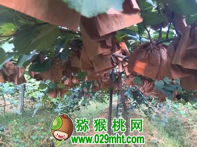 豪门国际官方网站图片