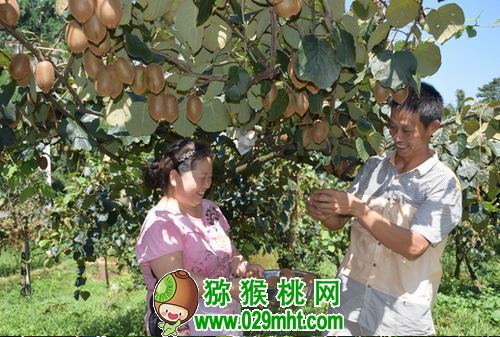 豪门国际 b6403