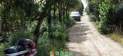 去年夏天的豪门国际猕猴桃果园里的豪门国际猕猴桃树对于2020年来说是希望也是美好