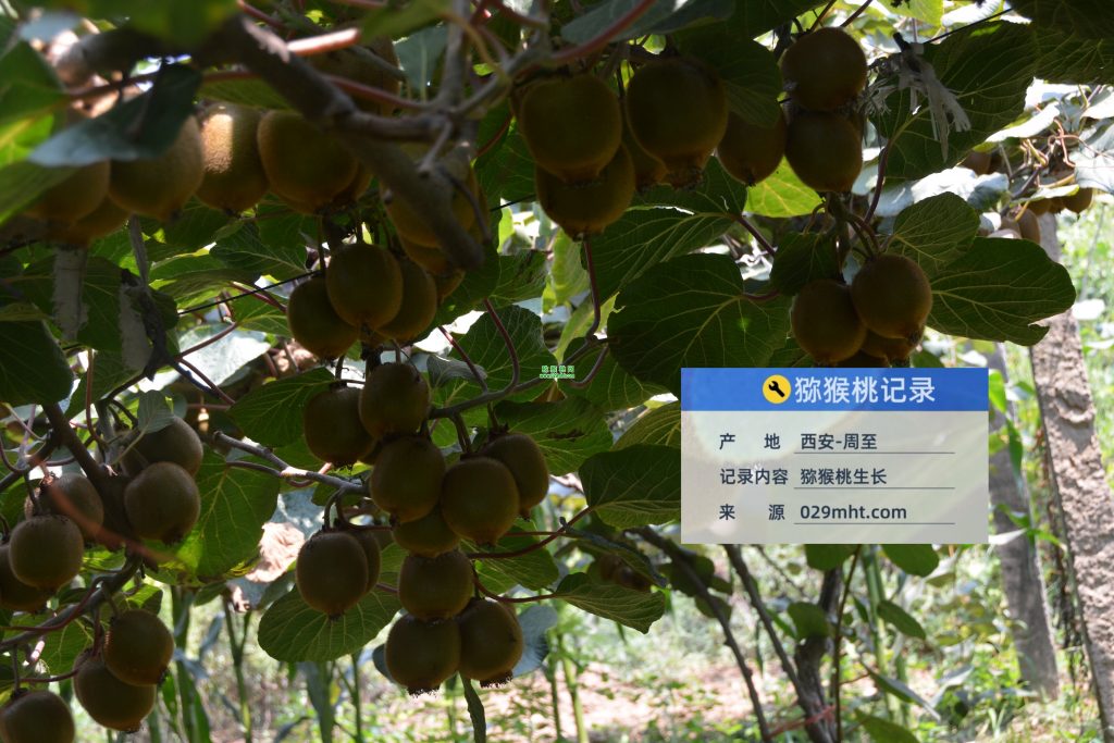 豪门国际官方网站图片