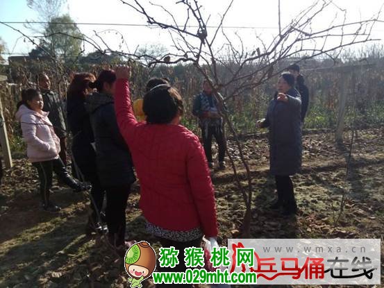 豪门国际官方网站图片