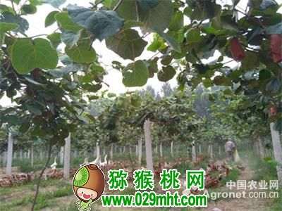 豪门国际官方网站图片