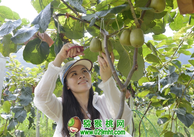 豪门国际官方网站图片