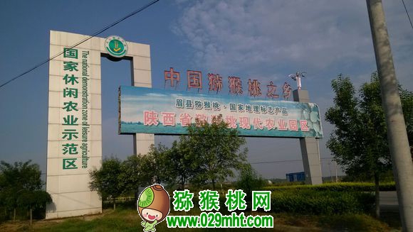 豪门国际 c31b7