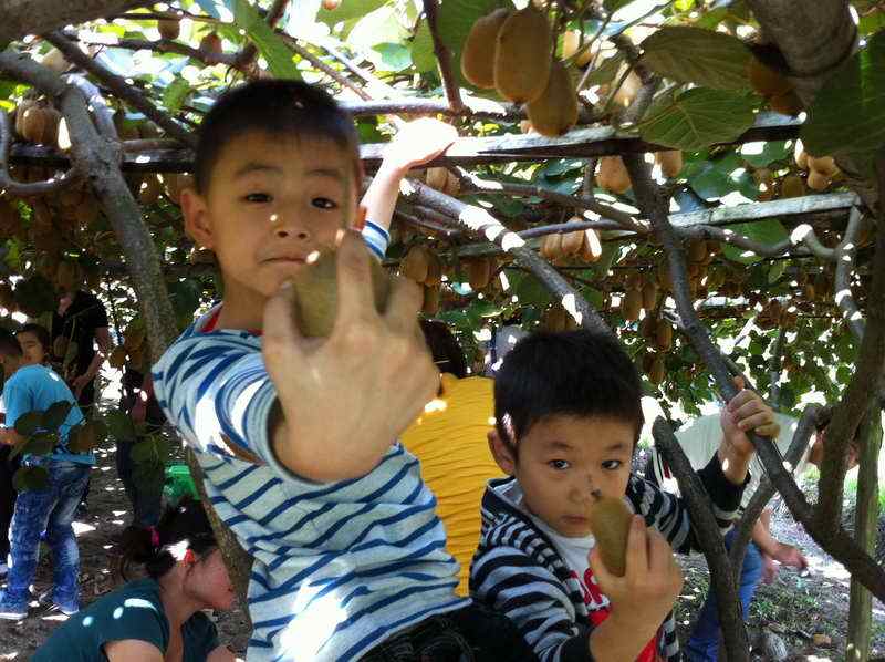 豪门国际 3a7a0