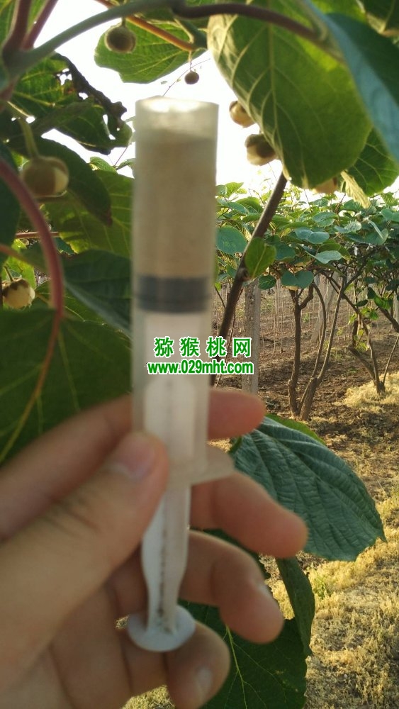 豪门国际 d03af