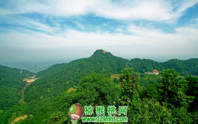 豪门国际 509f8