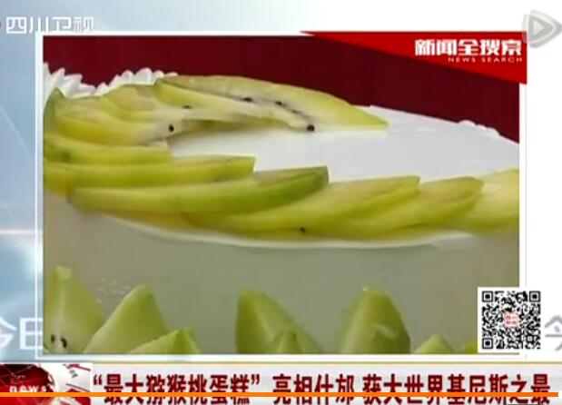 豪门国际官方网站图片