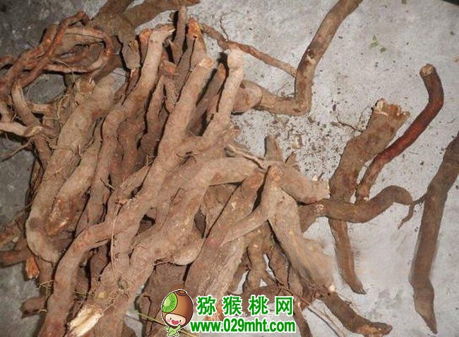 豪门国际官方网站图片