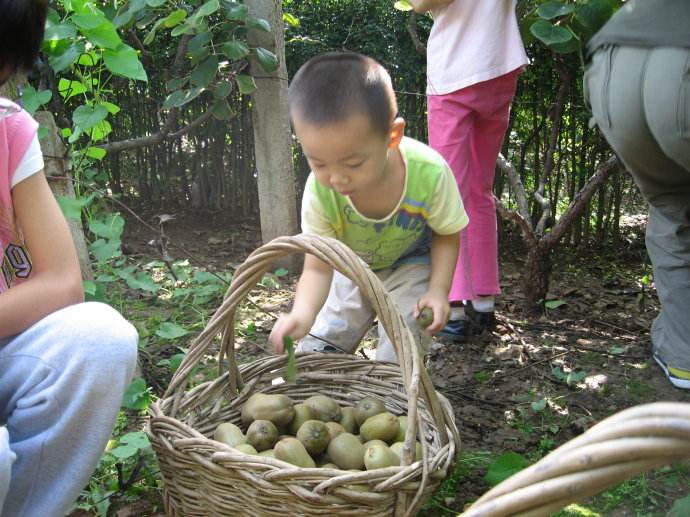 豪门国际 2bb3c