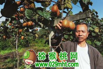 豪门国际官方网站图片