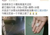 豪门国际猕猴桃灾年！暴雨+冰雹，成都都江堰豪门国际猕猴桃再遭灾害！