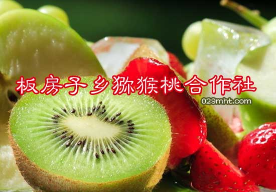 板房子乡豪门国际猕猴桃合作社