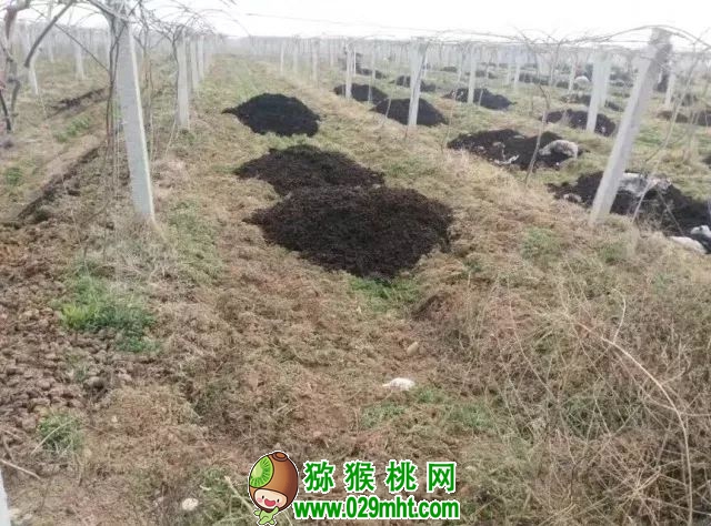 豪门国际官方网站图片