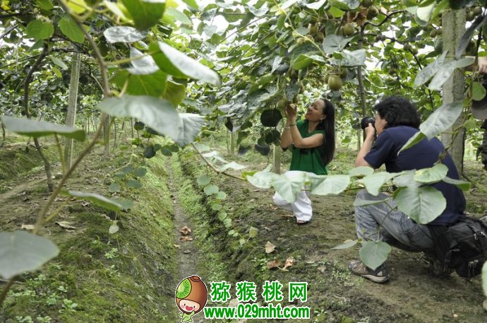 豪门国际官方网站图片