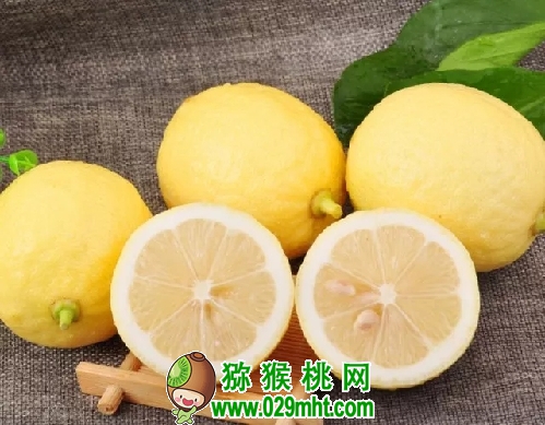豪门国际官方网站图片