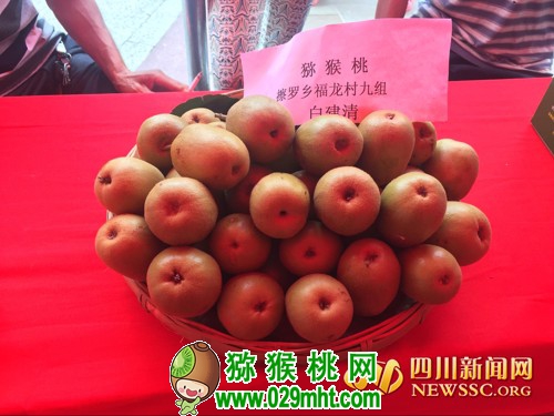 豪门国际 0ba04