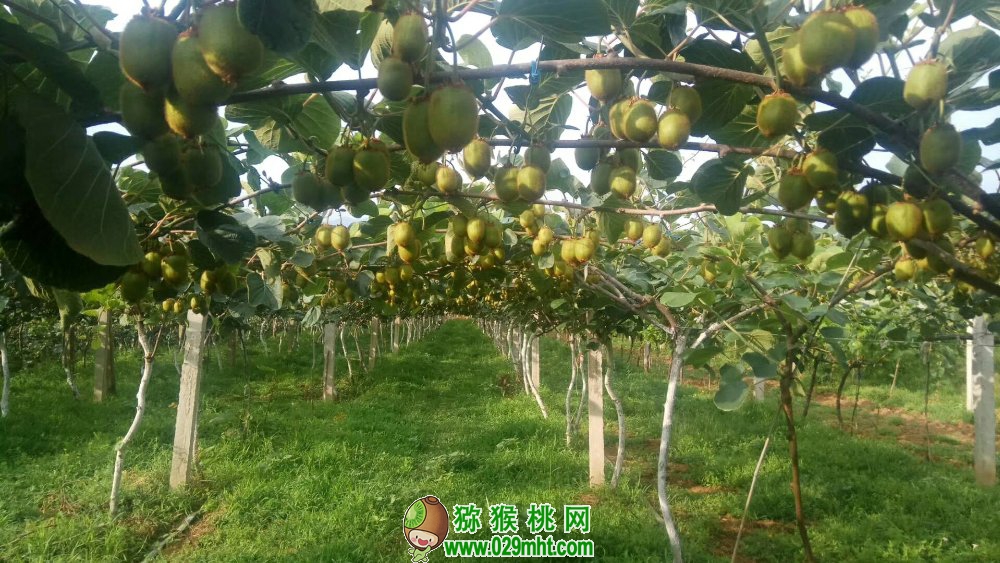 豪门国际官方网站图片