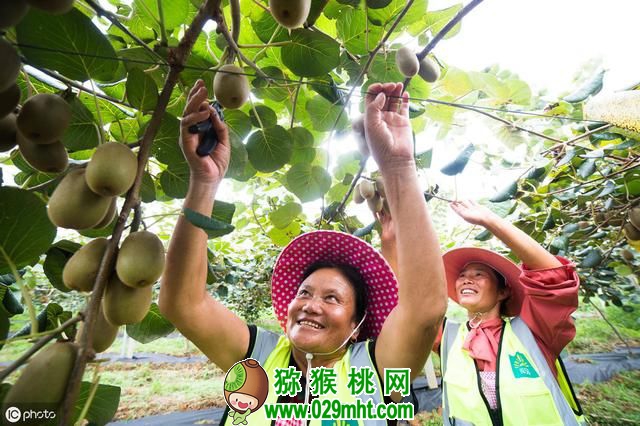 豪门国际官方网站图片
