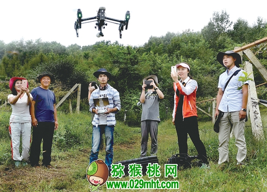 豪门国际官方网站图片