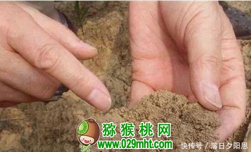 豪门国际官方网站图片