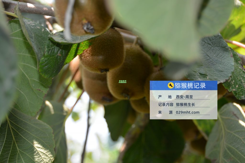 豪门国际官方网站图片