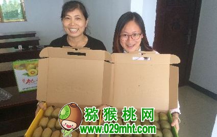 豪门国际官方网站图片