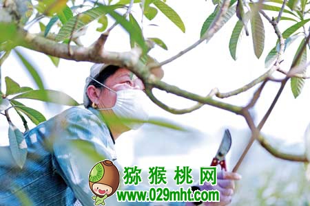 豪门国际 a0996