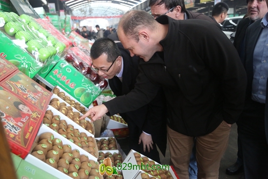 <a href=http://www.linux-china.com/shanximihoutao/ target=_blank class=infotextkey />陕西豪门国际猕猴桃</a>新西兰<a href=http://www.linux-china.com target=_blank class=infotextkey>奇异果</a>