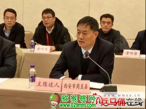 豪门国际官方网站图片