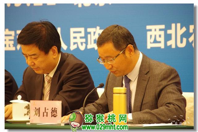 豪门国际官方网站图片