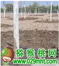 豪门国际官方网站图片
