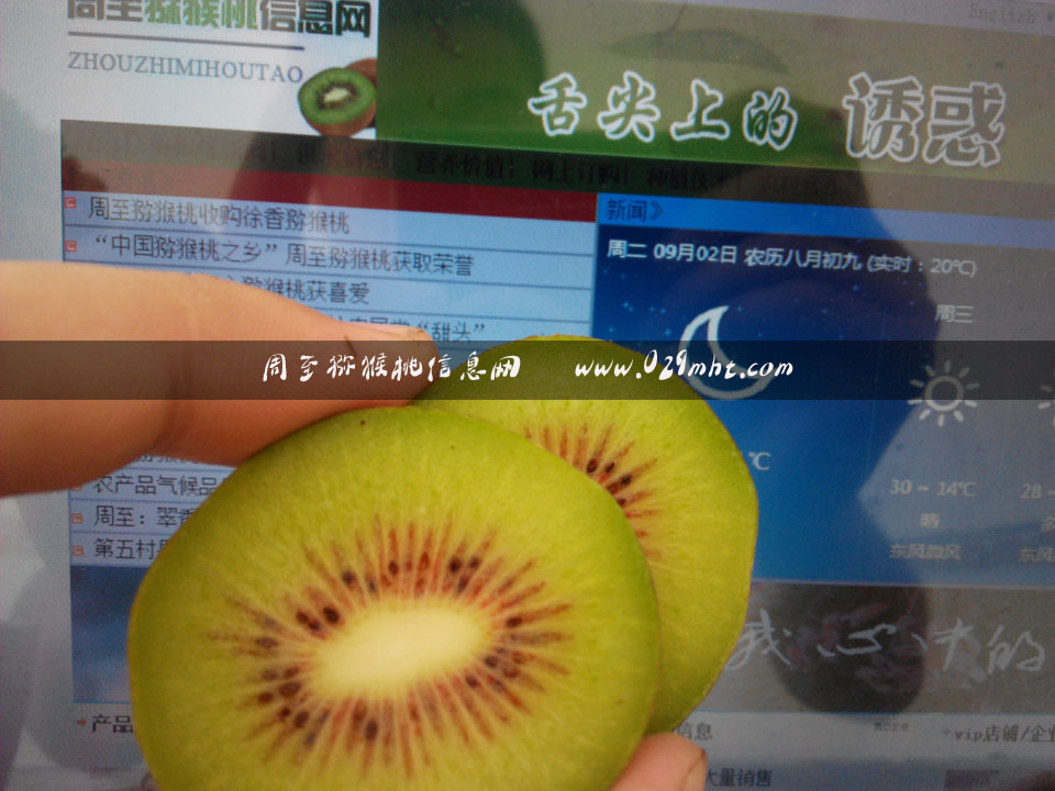 <a href=http://www.linux-china.com/mht/hongxin/ target=_blank class=infotextkey />红心豪门国际猕猴桃</a>画报