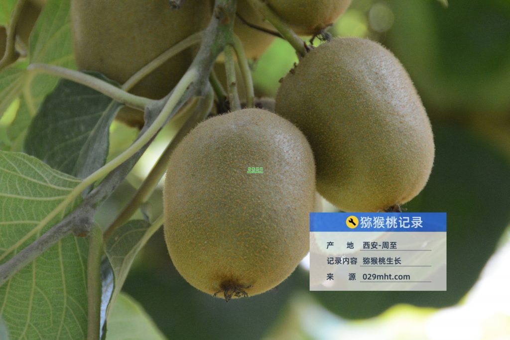 豪门国际官方网站图片