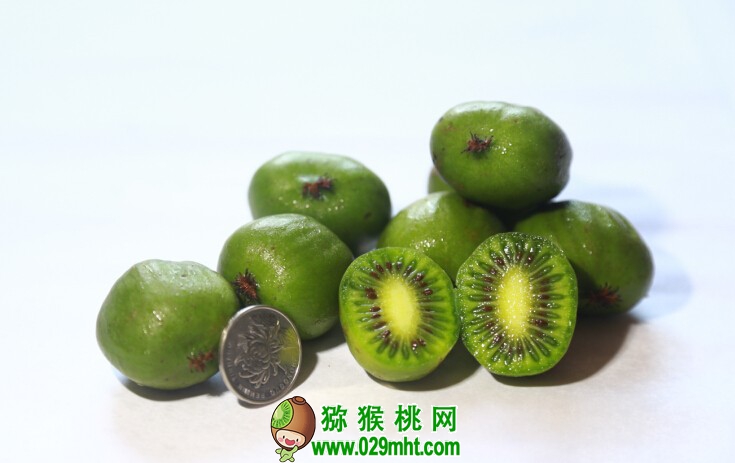 豪门国际官方网站图片
