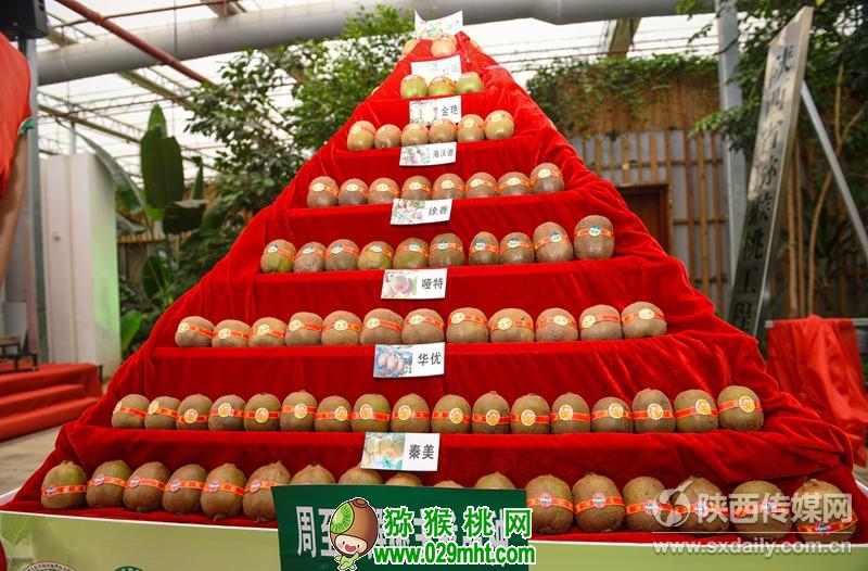 豪门国际官方网站图片