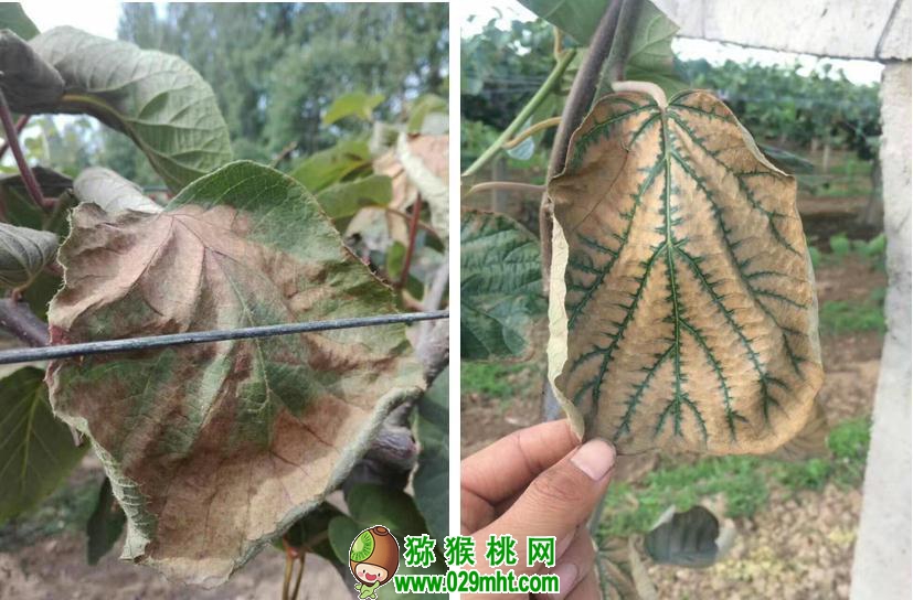 豪门国际官方网站图片