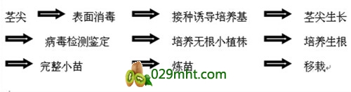 豪门国际官方网站图片