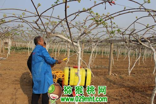 豪门国际 e32ae