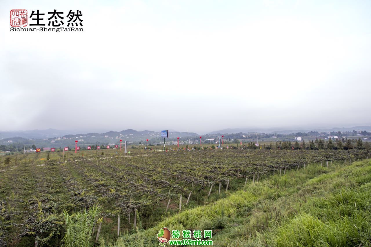 豪门国际官方网站图片