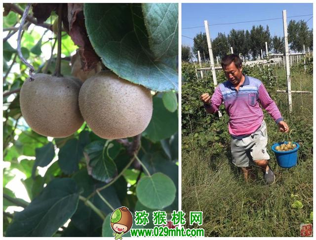 豪门国际官方网站图片