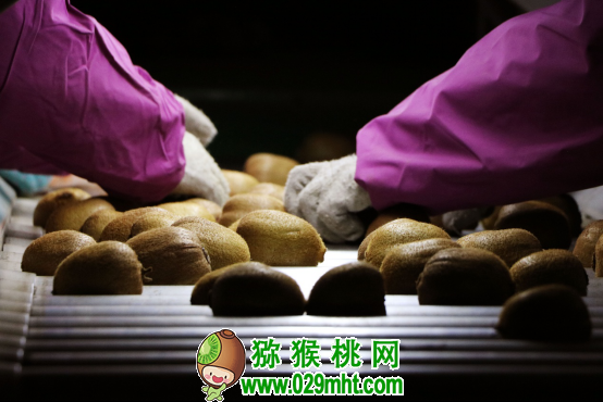 豪门国际官方网站图片
