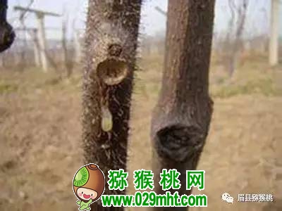豪门国际官方网站图片