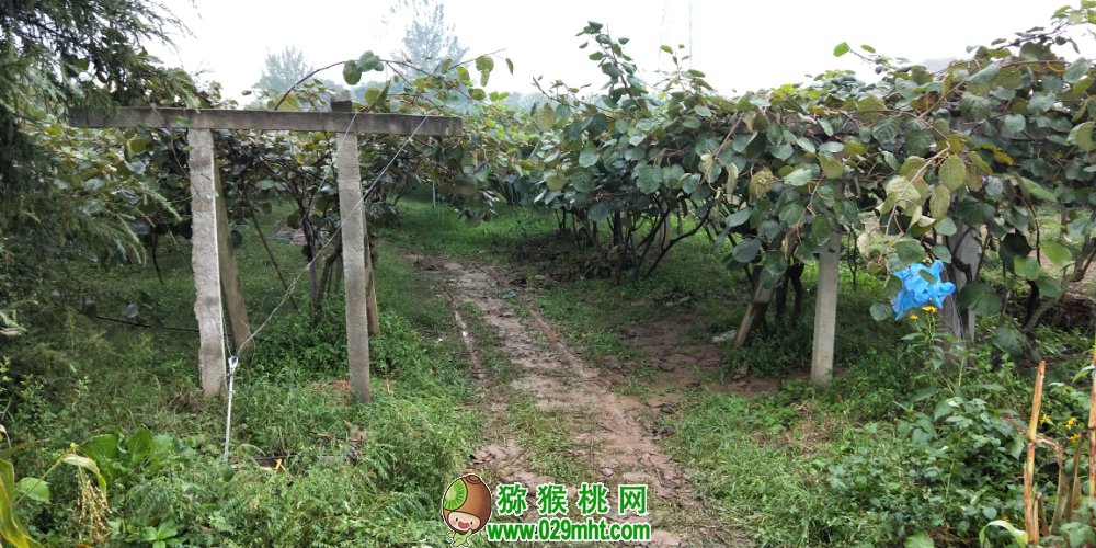 豪门国际 ff346