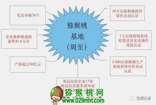 豪门国际 679d9