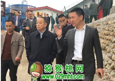 豪门国际官方网站图片