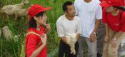 将陕西豪门国际猕猴桃进行到底