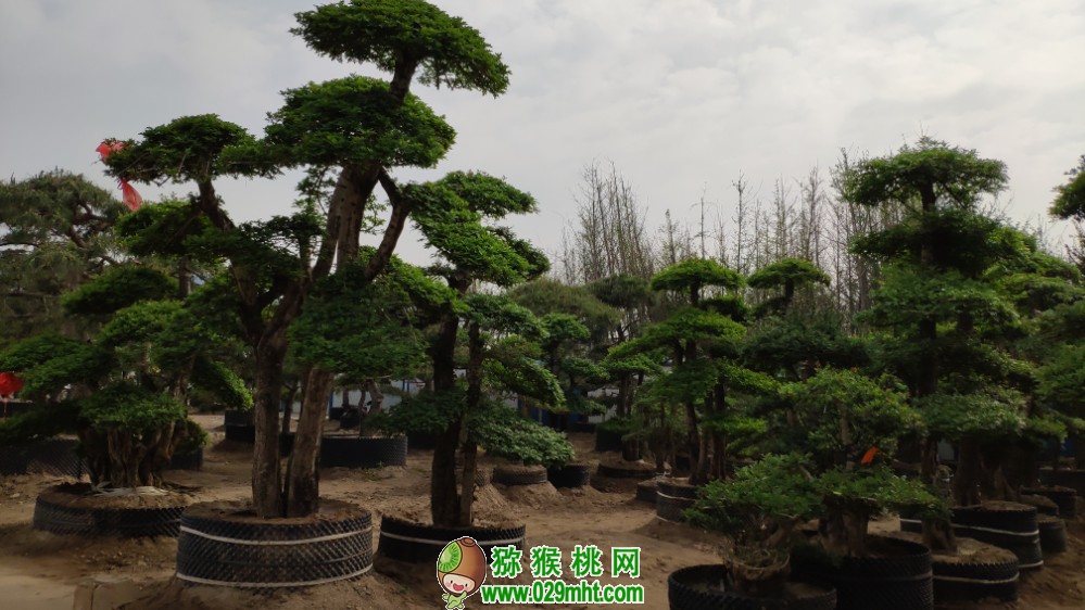 豪门国际官方网站图片